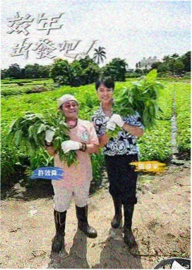 邵氏黄梅调经典回顾封面